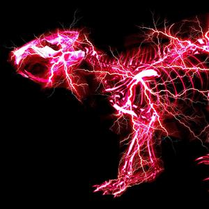 黑人牲交视频免费播放
