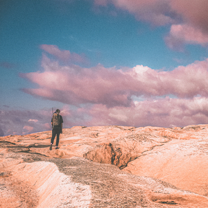 黑人牲交视频免费播放
