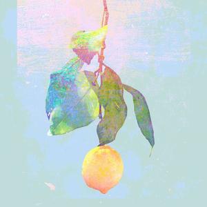 黑人牲交视频免费播放
